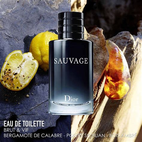 parfum homme dior sauvage sephora|christian Dior Sauvage for men.